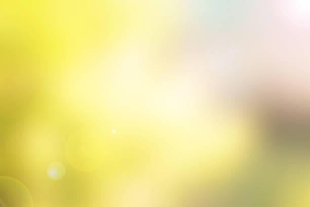 istock Abstract colorful of nature background. 658141764