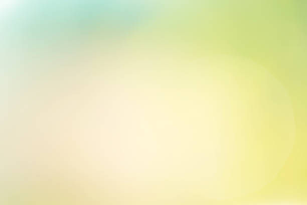 istock Abstract colorful of nature background. 658142488