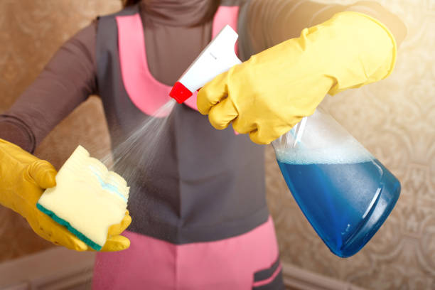 istock Female hands in gloves work with cleaning agent 658149400