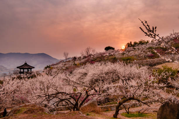 istock Sunrise at Maehwa Village 658155816