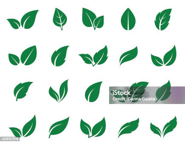Grünes Blatt Icons Set Stock Vektor Art und mehr Bilder von Blatt - Pflanzenbestandteile - Blatt - Pflanzenbestandteile, Vektor, Logo