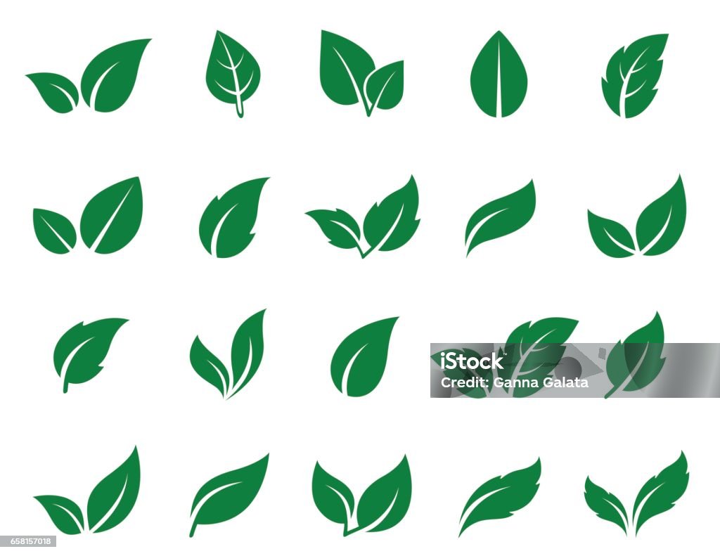 jeu d’icônes de feuille verte - clipart vectoriel de Feuille libre de droits