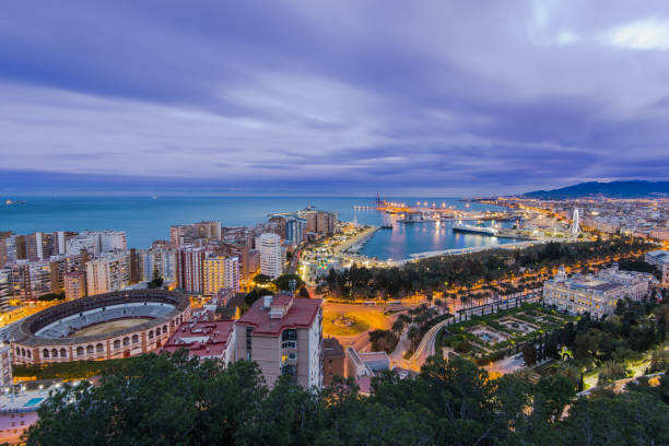 istock Illuminated skyline of Malaga in Spain 658160364