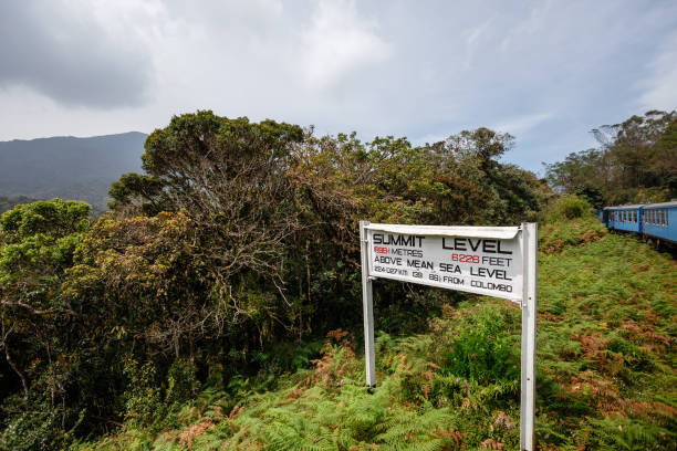 istock Train from Ella to Kandy among tropical mountains. Sri Lanka 658164028