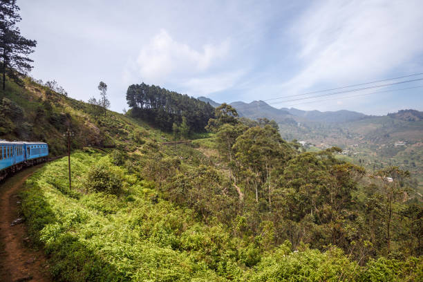 istock Train from Ella to Kandy among tropical mountains. Sri Lanka 658164030