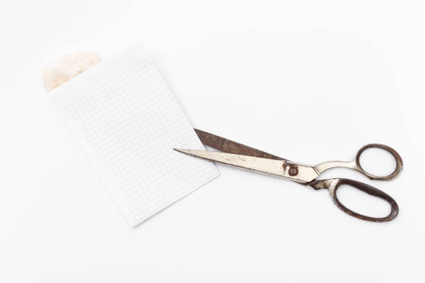 istock Rock, paper, scissors is best choice way to decision making 658164612