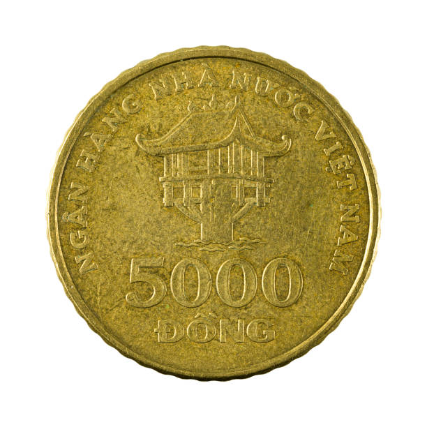 istock 5000 vietnamese dong coin (2003) obverse isolated on white background 658167282
