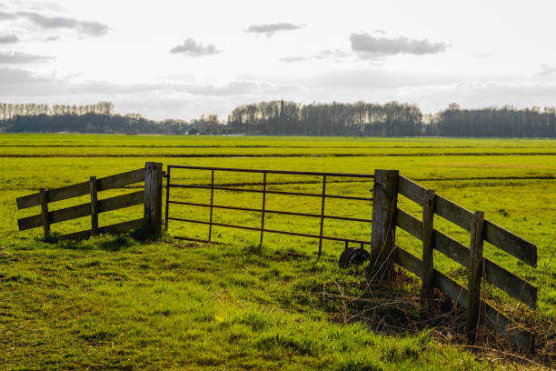 istock Rusty metal gate  between wooden beams enclosed with a chain and padlock 658174198