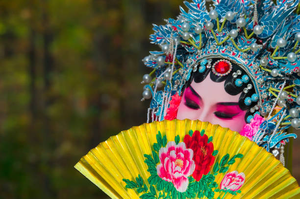 Opera performer in the fall outdoor park, Toronto, Canada A Chinese Opera performer in the fall outdoor park, Toronto, Canada chinese opera makeup stock pictures, royalty-free photos & images