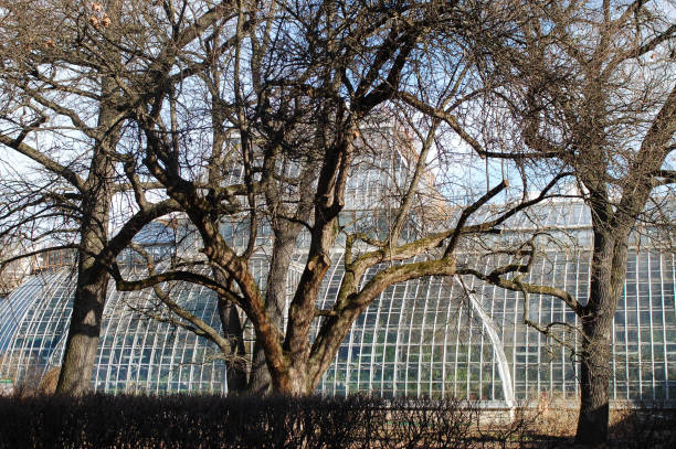 istock Early Spring in the city park. 658174410