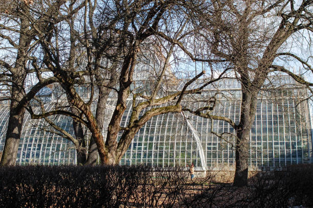istock Early Spring in the city park. 658174416