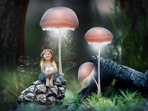 Little girl fairy in a magical fairy forest. A fairy tale for children