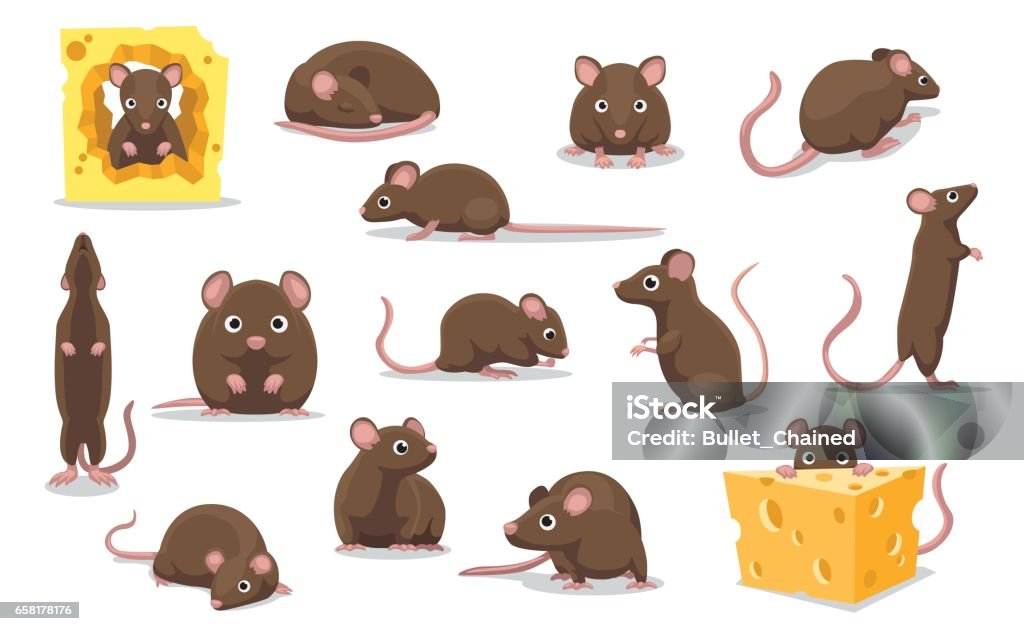 Cute Brown Rat Various Poses Cartoon Vector Illustration Animal Character EPS10 File Format Mouse - Animal stock vector