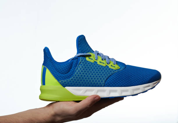 istock Hand hold sport shoe 658184370