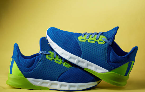 istock Pair of colorful trainer shoes 658184498