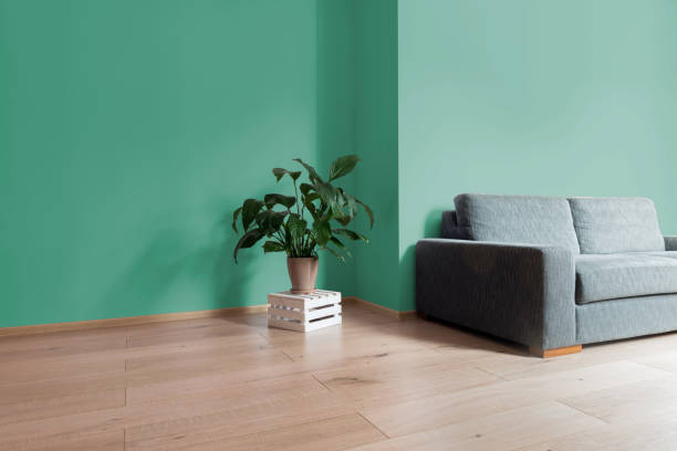 Interior, sala com piso de madeira brilhante com parede verde, sofá moderno confortável e planta em caixa de madeira - foto de acervo
