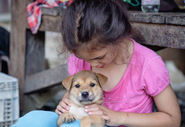 Happy child girl playing with thai local puppy in play yard of home