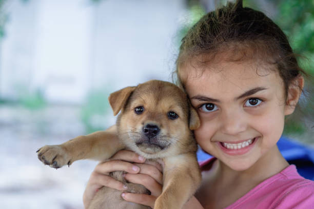 istock girl playing with thai local puppy 658189048