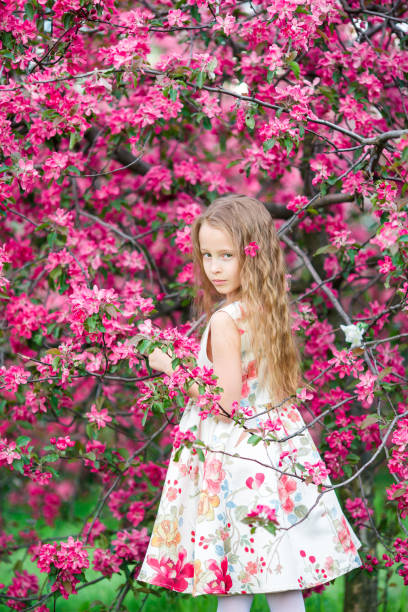 istock Little girl in blooming apple tree garden enjoy spring 658189214