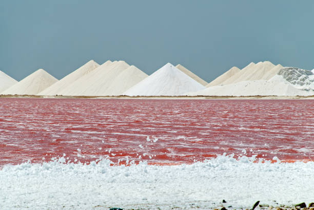 istock Pink salt ponds of Bonaire 658192016