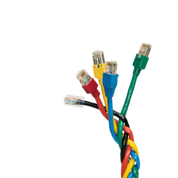 istock Isolated multi colored ethernet cables braided in spikelet, white background 658192036