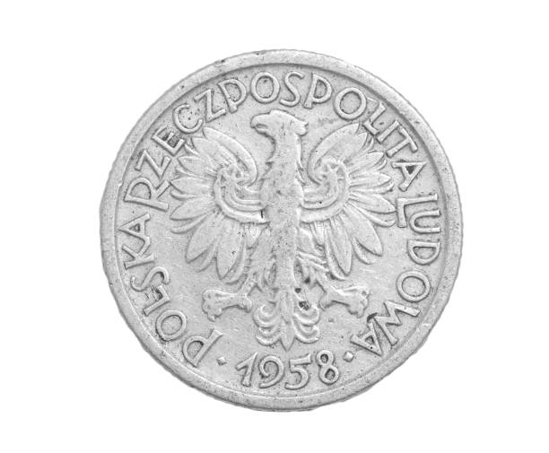 istock Polish coin on a white background 658192454