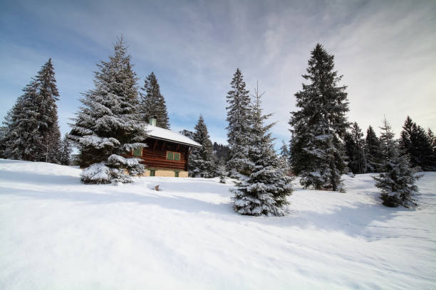 istock hut between spruce trees in winter, Alps 658192710