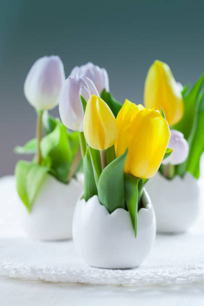 Easter tulips in fresh colors