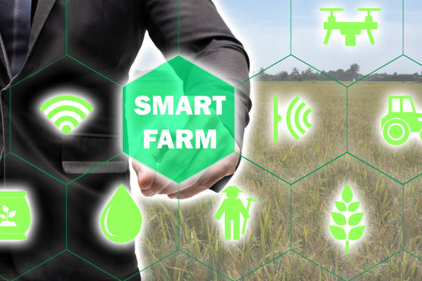 istock iot,Internet of things(agriculture concept),smart farming 658199192
