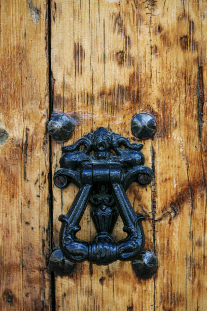 istock Lock in a wooden door 658201340