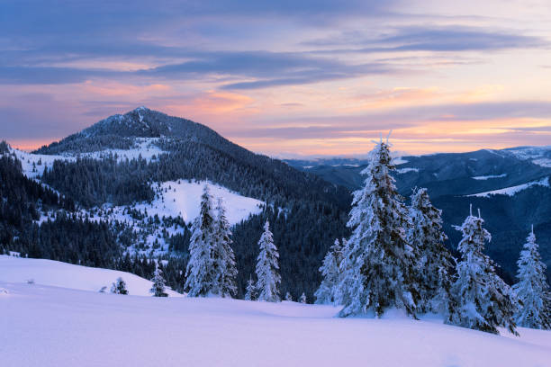 istock Petros mount in Carpathians, Ukraine 658201442