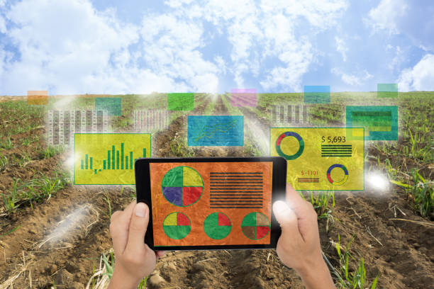 istock Internet of things(agriculture concept),smart farming 658202030