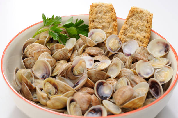 plate of clams - fotografia de stock