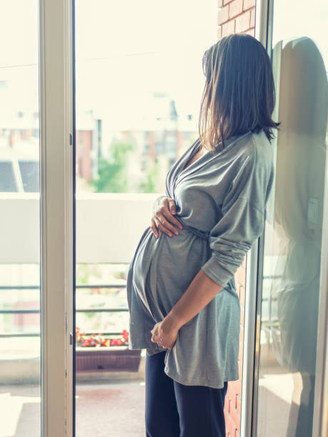 istock Pregnant woman at home 658212472