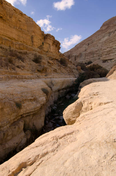 istock Arugot Stream - A Gedi - Israel 658212596