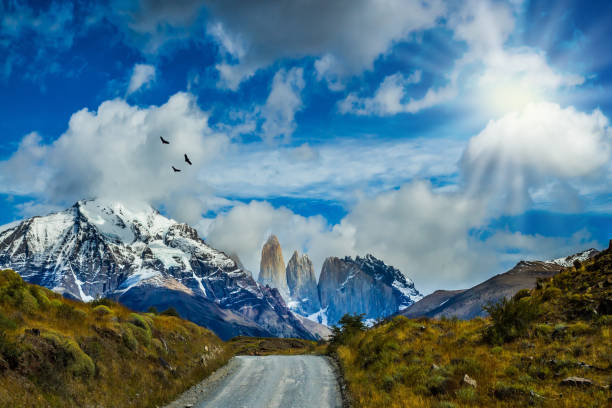 istock Summer in the south of Chile 658213268