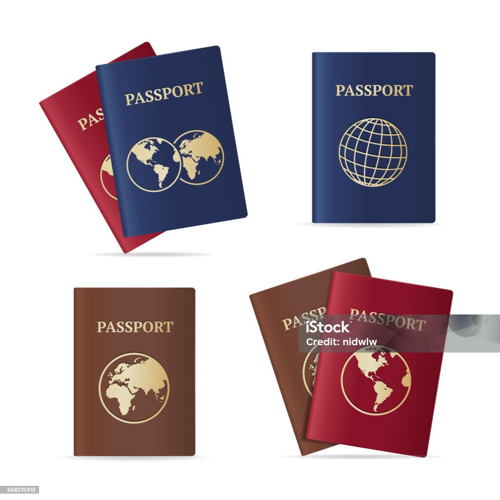 Conjunto de passaporte internacional realista. Vector - Vetor de Carteira de Identidade royalty-free