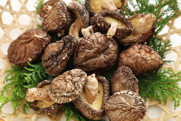 гриб шиитаке - shiitake mushroom edible mushroom mushroom dry стоковые фото и изображения