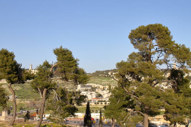 istock Mount of Olives - Jerusalem - Israel 658224044