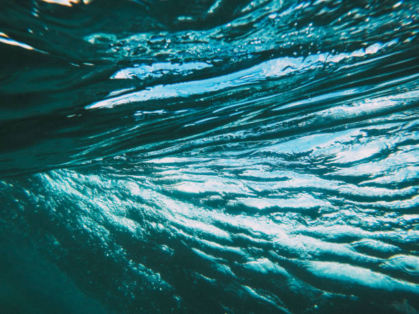 istock Motion of the ocean 658224290