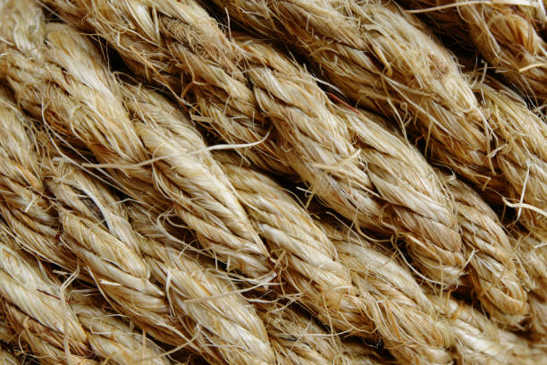 istock Roll of Sisal Rope 658226526