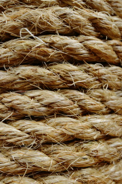 istock Roll of Sisal Rope 658226534