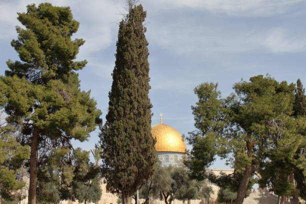 istock Dome of The Rock - Jerusalem - Israel 658226850