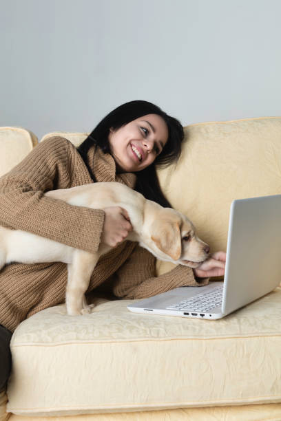 istock Working from home with a puppy 658233500