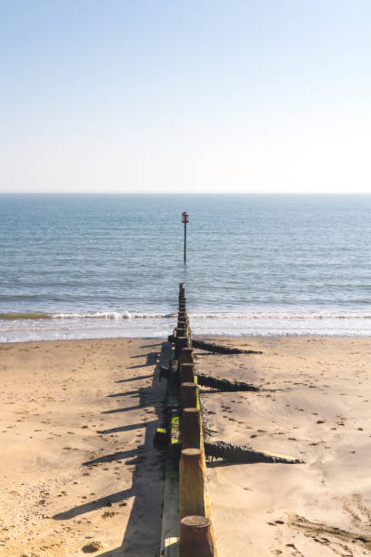 istock Wooden Groyne 658247960