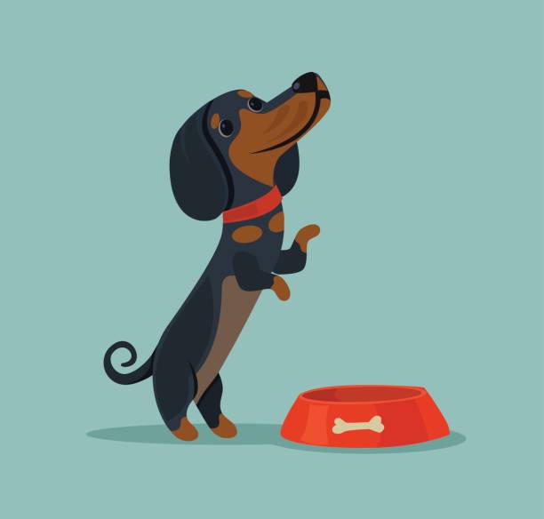 Little cute dog character mascot want eat and demand food from owner Little cute dog character mascot want eat and demand food from owner. Vector flat cartoon illustration spartan mascot stock illustrations