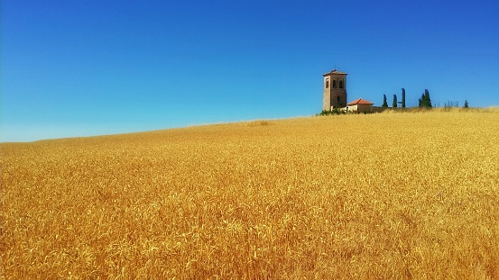 Bell tower on a harvested field at tieera de campos, Calzadilla de la Cueza, Palencia