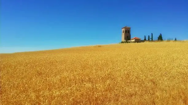 Bell tower on a harvested field at tieera de campos, Calzadilla de la Cueza, Palencia