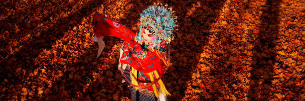 Peking opera performer in the fall outdoor park, Toronto, Canada A Chinese Peking opera performer in the fall outdoor park, Toronto, Canada chinese opera makeup stock pictures, royalty-free photos & images