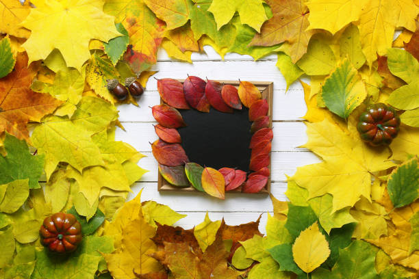 istock autumn leaves background shape round 658259180